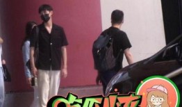 卡通娱乐圈爆料文案,明星幕后故事大揭秘！